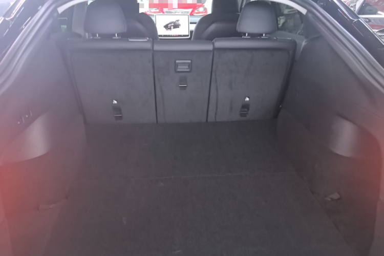 Tesla Model Y 2023 #19 Tesla Model Y 2023 car image #19