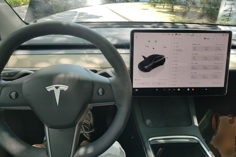 Tesla Model Y 2022 car image #10