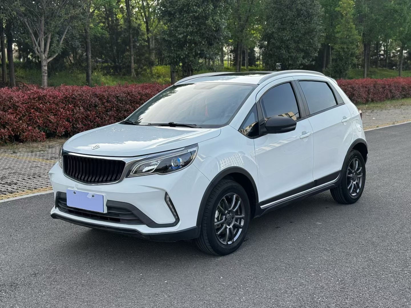 Livan X3 PRO 2023 image de voiture 