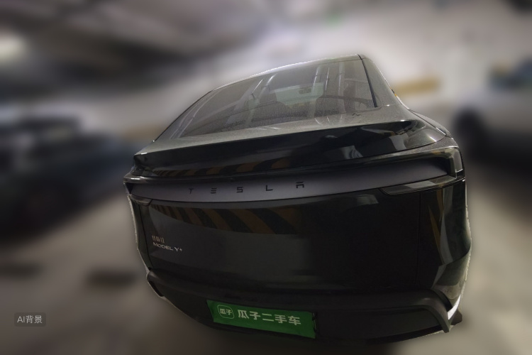 Tesla Model Y 2025 car image #6
