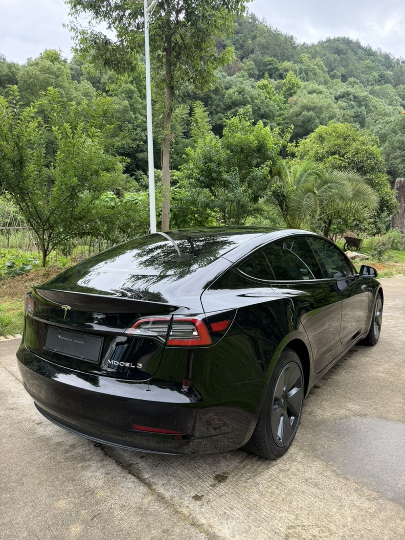 Tesla Model 3 2021 car image #7