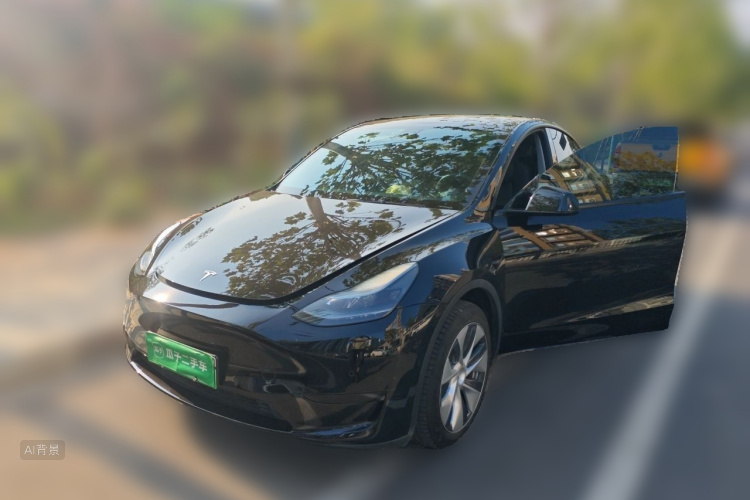 Tesla Model Y 2023 imagem de carro #2