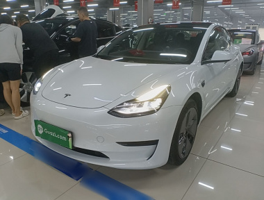 Tesla Model 3 2021 Tesla Model 3 2021 car image