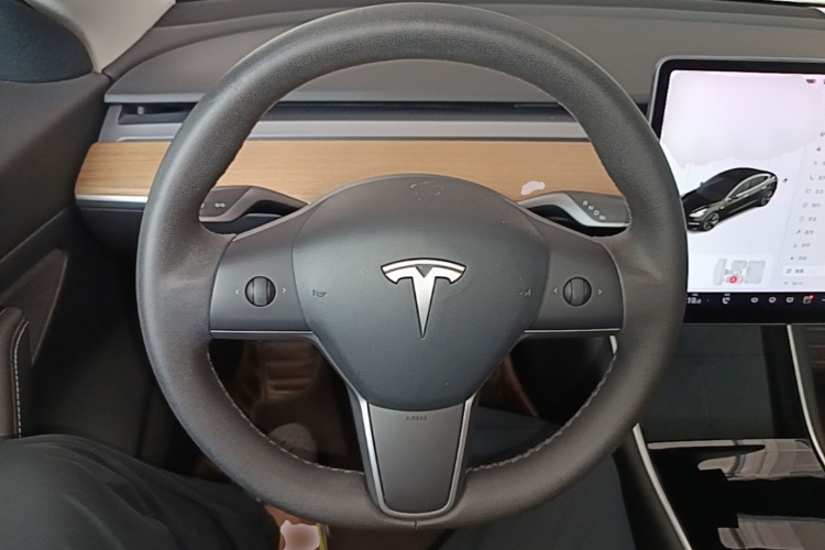 Tesla Model 3 2020 car image #11