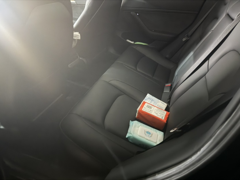 Tesla Model 3 2021 #3 Tesla Model 3 2021 car image #3