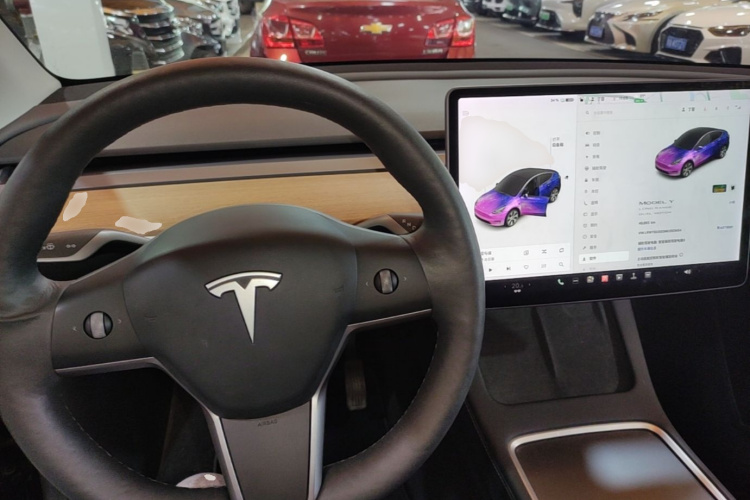 Tesla Model Y 2021 car image #10