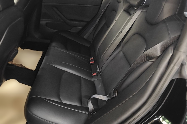 Tesla Model 3 2020 car image #17