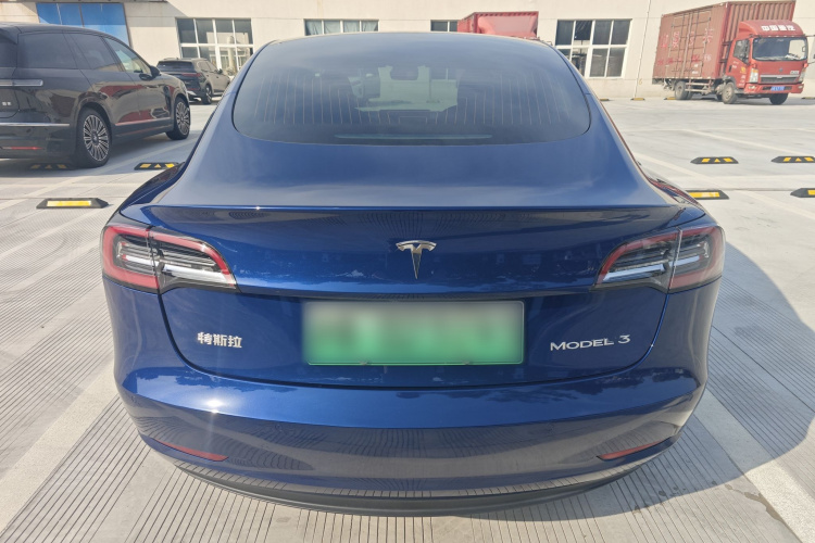 Tesla Model 3 2020 car image #8