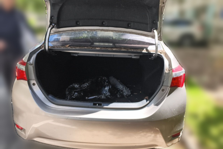 Toyota Corolla 2017 #17 Toyota Corolla 2017 car image #17