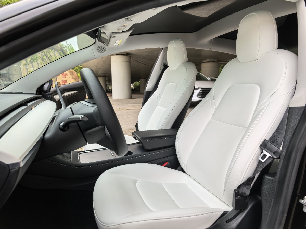 Tesla Model 3 2021 car image #5