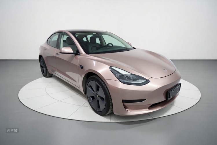 Tesla Model 3 2021 car image #4
