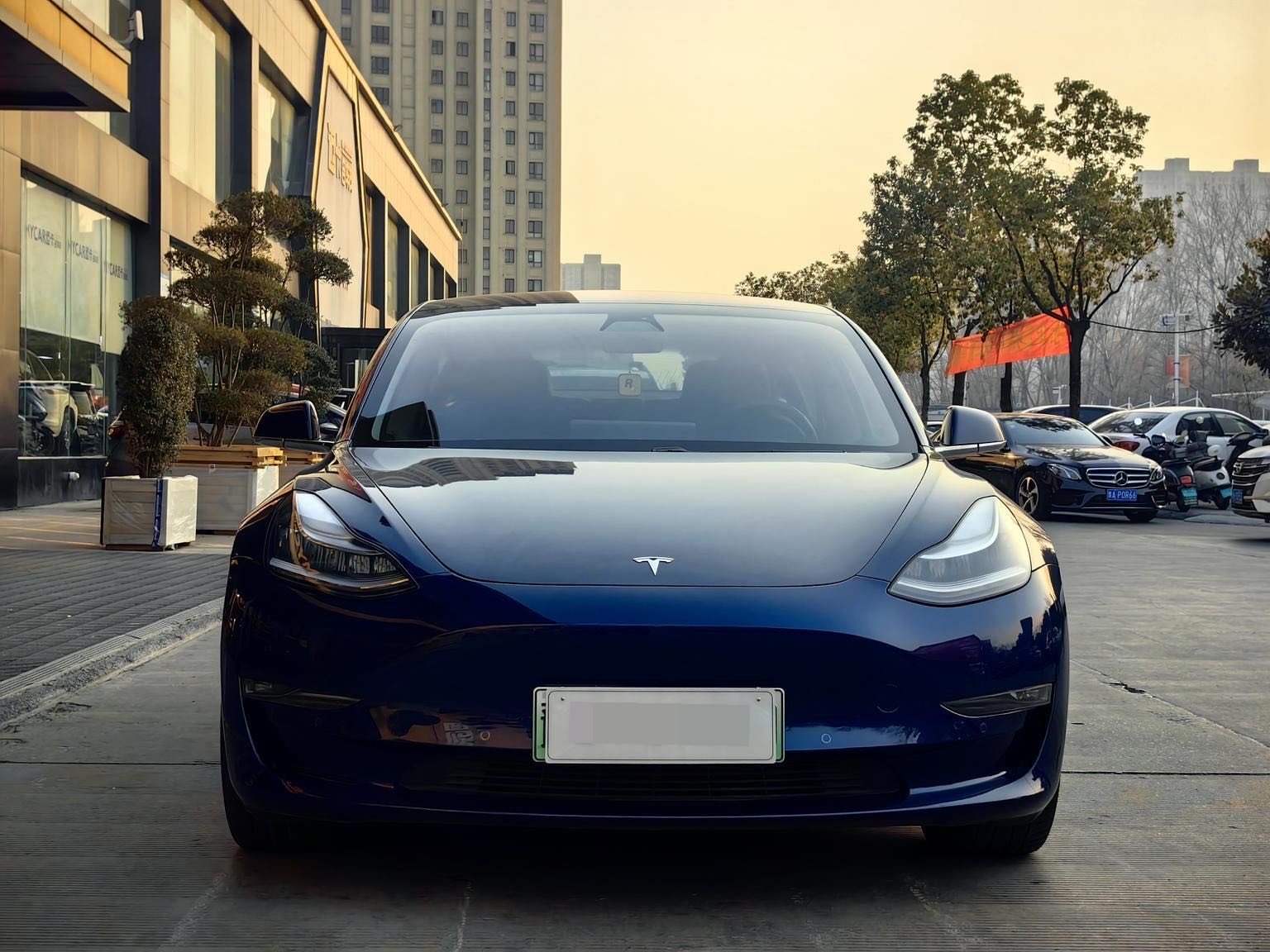 Tesla Model 3 2020 imagen de coche #2
