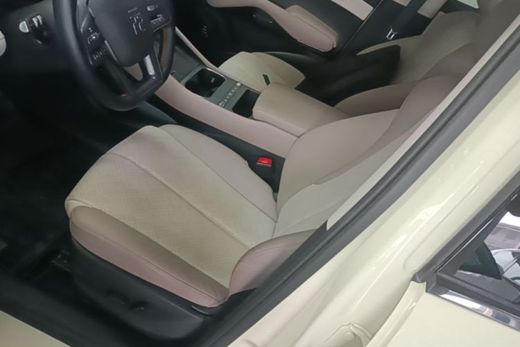 BYD Yuan Plus 2025 car image #19