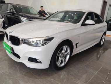 BMW 3 Series GT 2019 BMW 3 Series GT 2019 car image