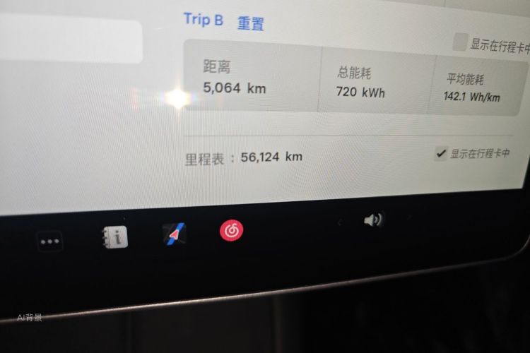 Tesla Model 3 2021 car image #14