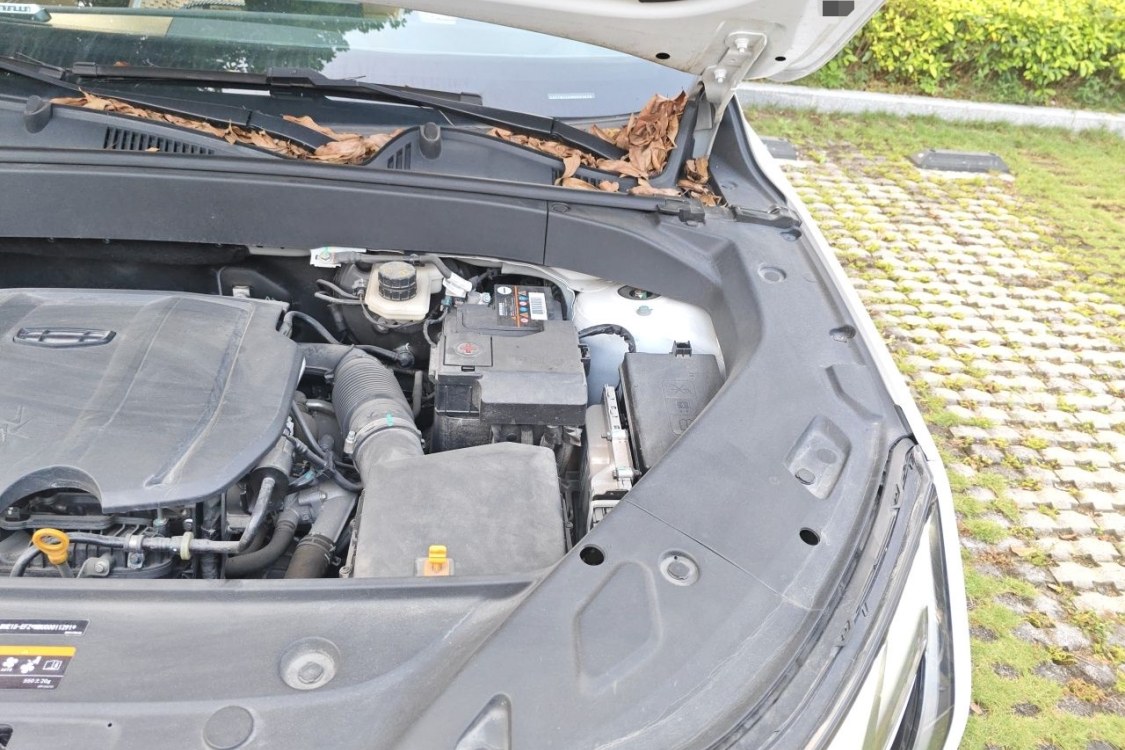 GEELY Boyue L 2022 #12 GEELY Boyue L 2022 imagen de coche #12