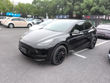Tesla Model Y 2021 Tesla Model Y 2021 car image
