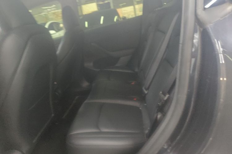 Tesla Model Y 2024 car image #17