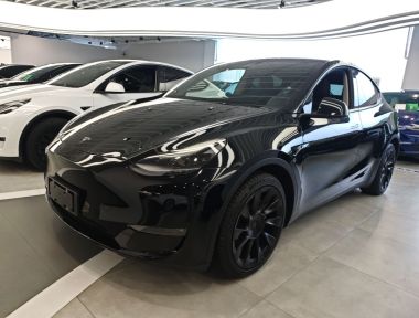 Tesla Model Y 2021 car image 