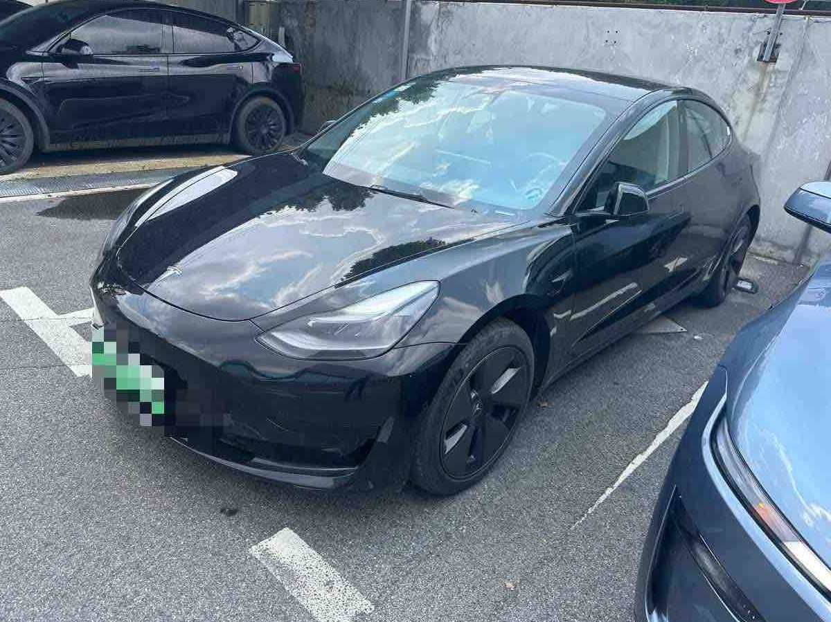 Tesla Model 3 2021 Tesla Model 3 2021 car image
