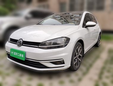 Volkswagen Golf 2019 Volkswagen Golf 2019 car image