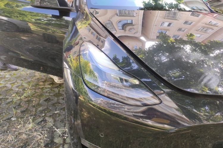 Tesla Model Y 2021 #8 Tesla Model Y 2021 car image #8