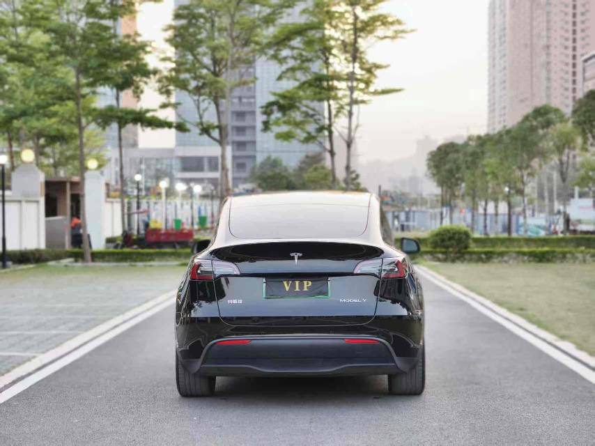 Tesla Model Y 2021 #11 Tesla Model Y 2021 car image #11