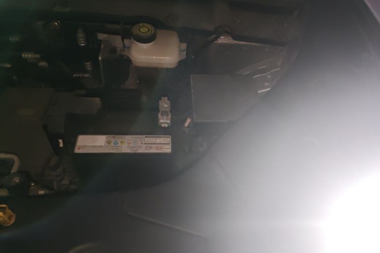 BYD YuanUP 2024 car image #24