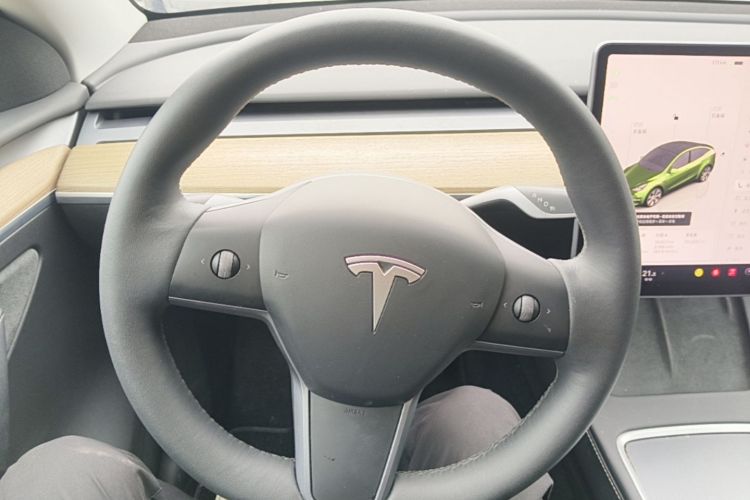Tesla Model Y 2023 #15 Tesla Model Y 2023 car image #15