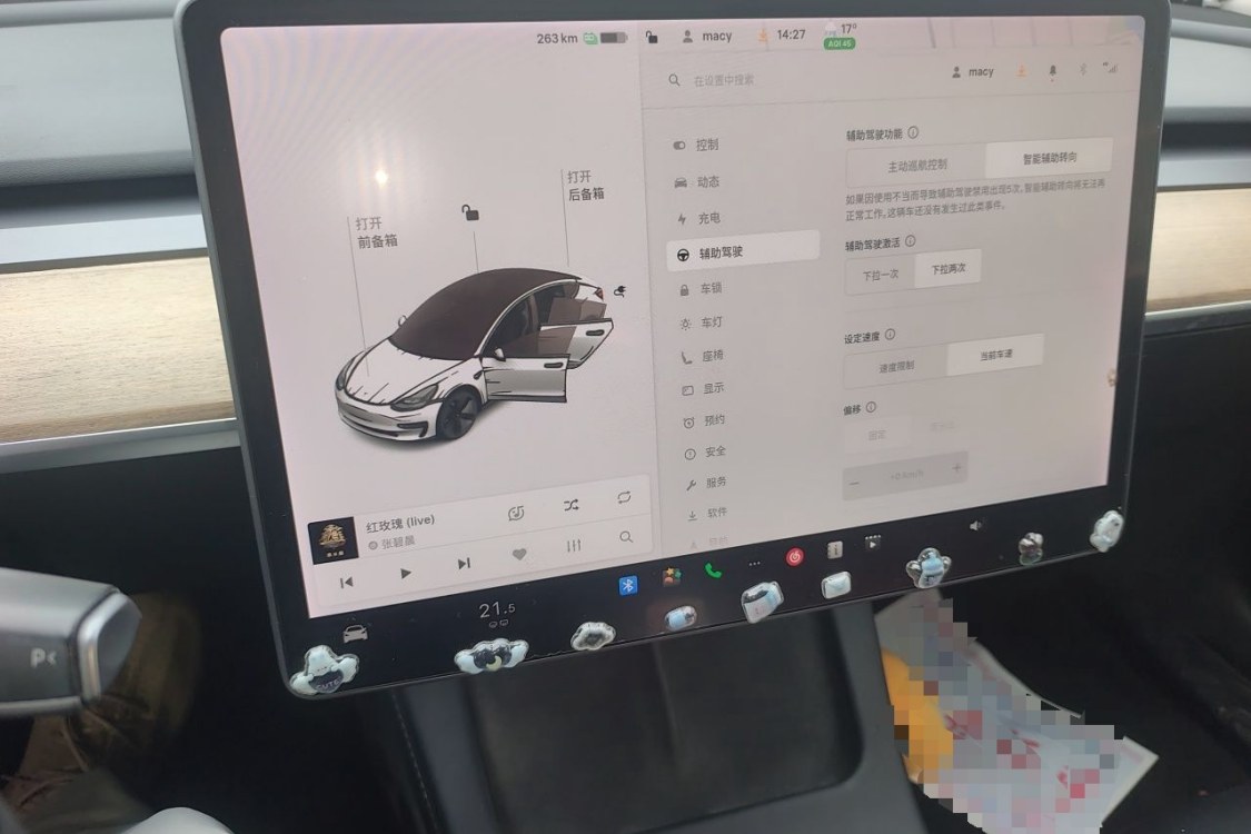 Tesla Model 3 2021 car image #29