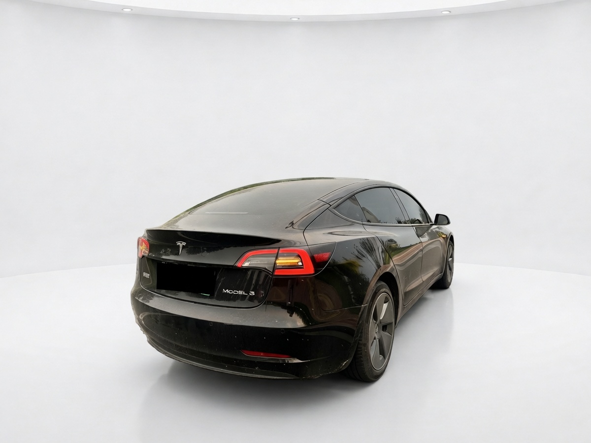 Tesla Model 3 2023 #4 Tesla Model 3 2023 car image #4