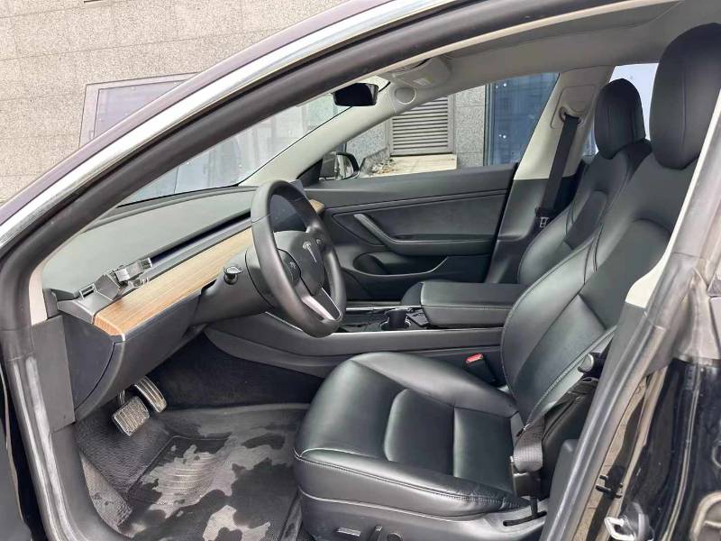 Tesla Model 3 2020 car image #4