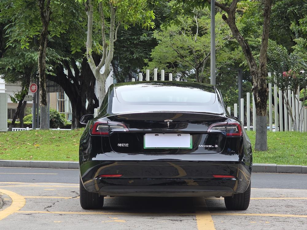 Tesla Model 3 2020 #6 Tesla Model 3 2020 car image #6