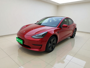 Tesla Model 3 2021 Tesla Model 3 2021 car image