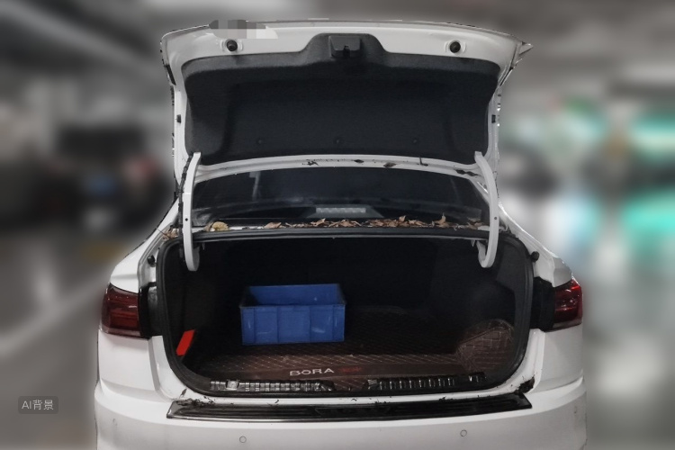 Volkswagen Bora 2019 car image #21