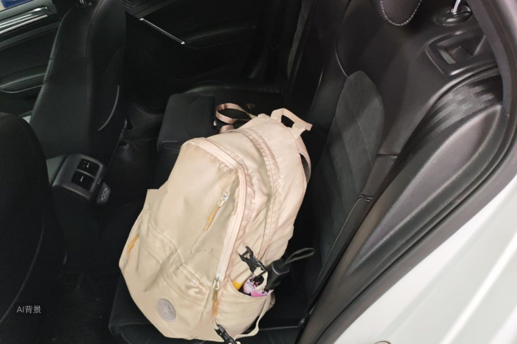 Volkswagen Golf 2018 car image #19