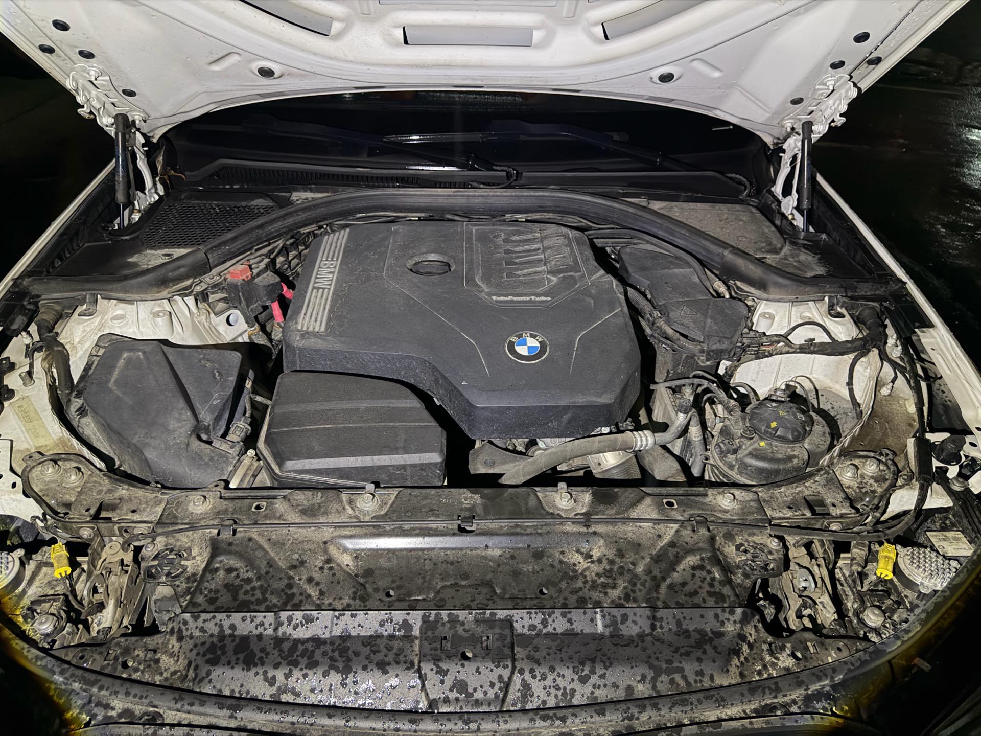BMW 3 Series 2022 car image #16