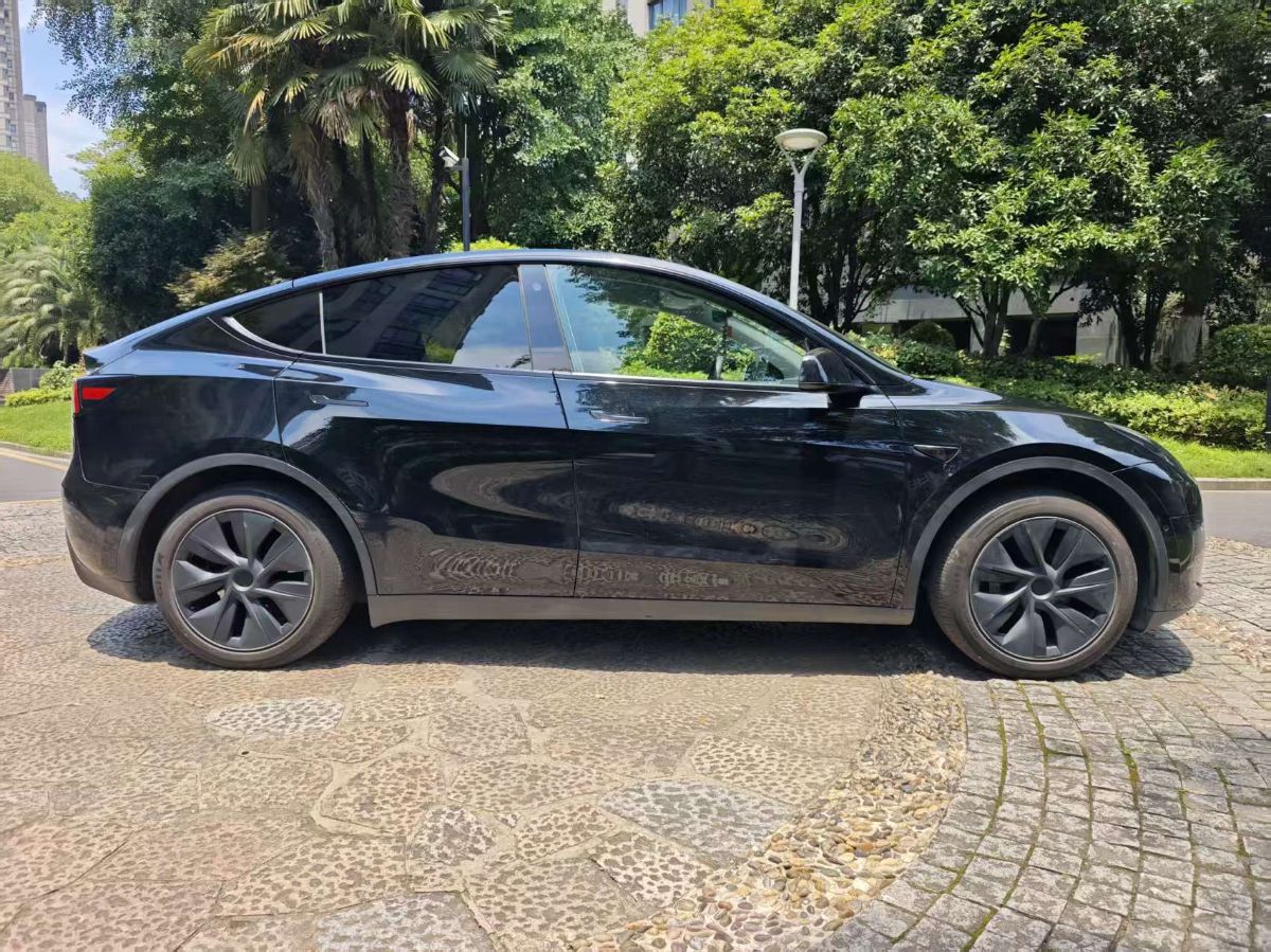 Tesla Model Y 2024 car image #8