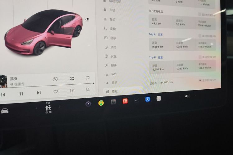 Tesla Model 3 2021 car image #12