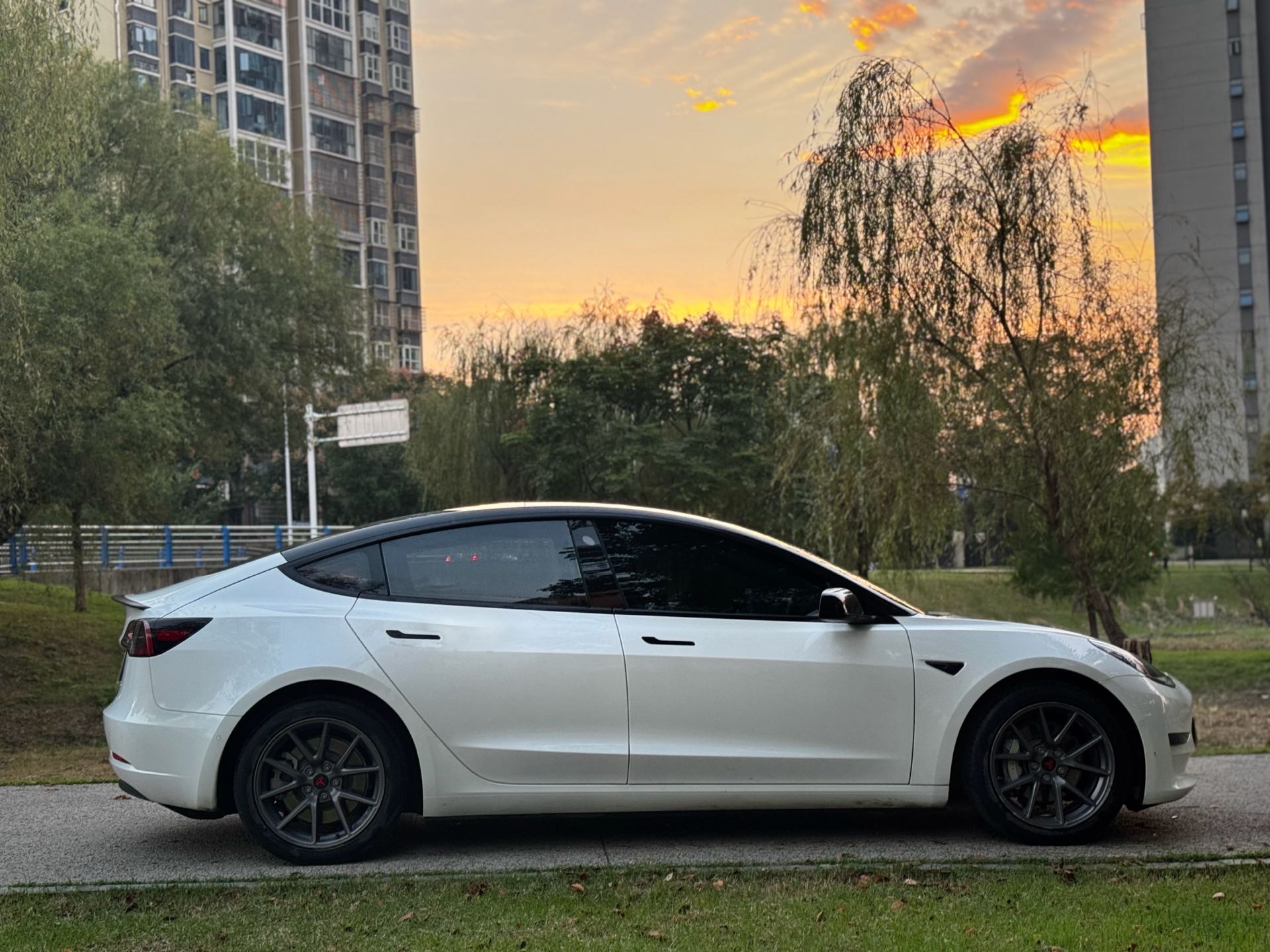 Tesla Model 3 2021 car image #4