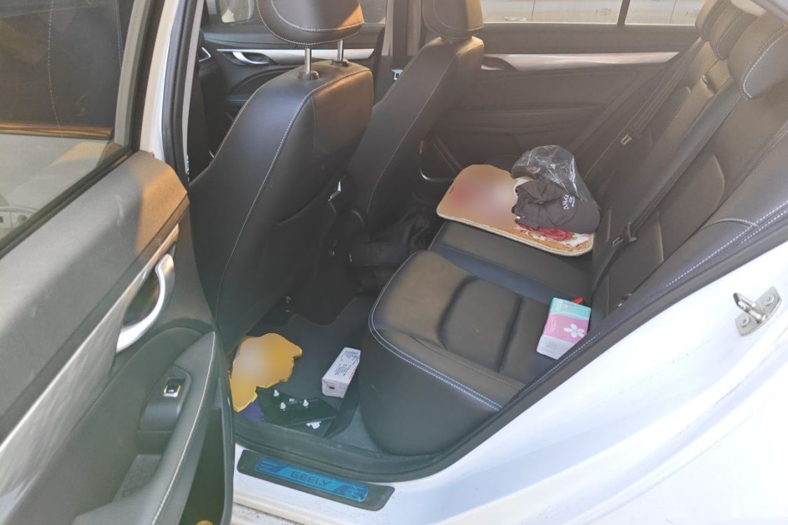 GEELY Emgrand 2020 car image #21