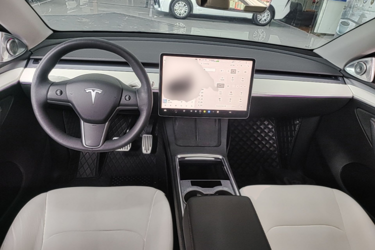 Tesla Model Y 2022 car image #10