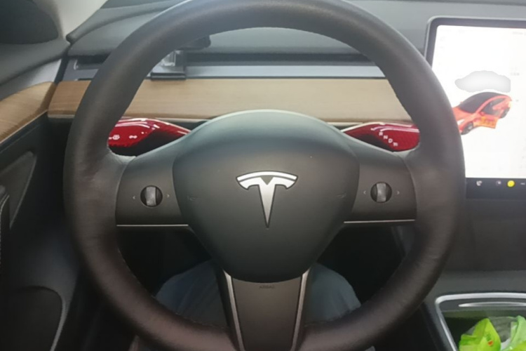 Tesla Model 3 2021 immagine di auto #11