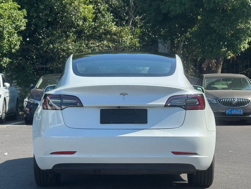 Tesla Model 3 (Imported) 2019 #7 Tesla Model 3 (Imported) 2019 car image #7