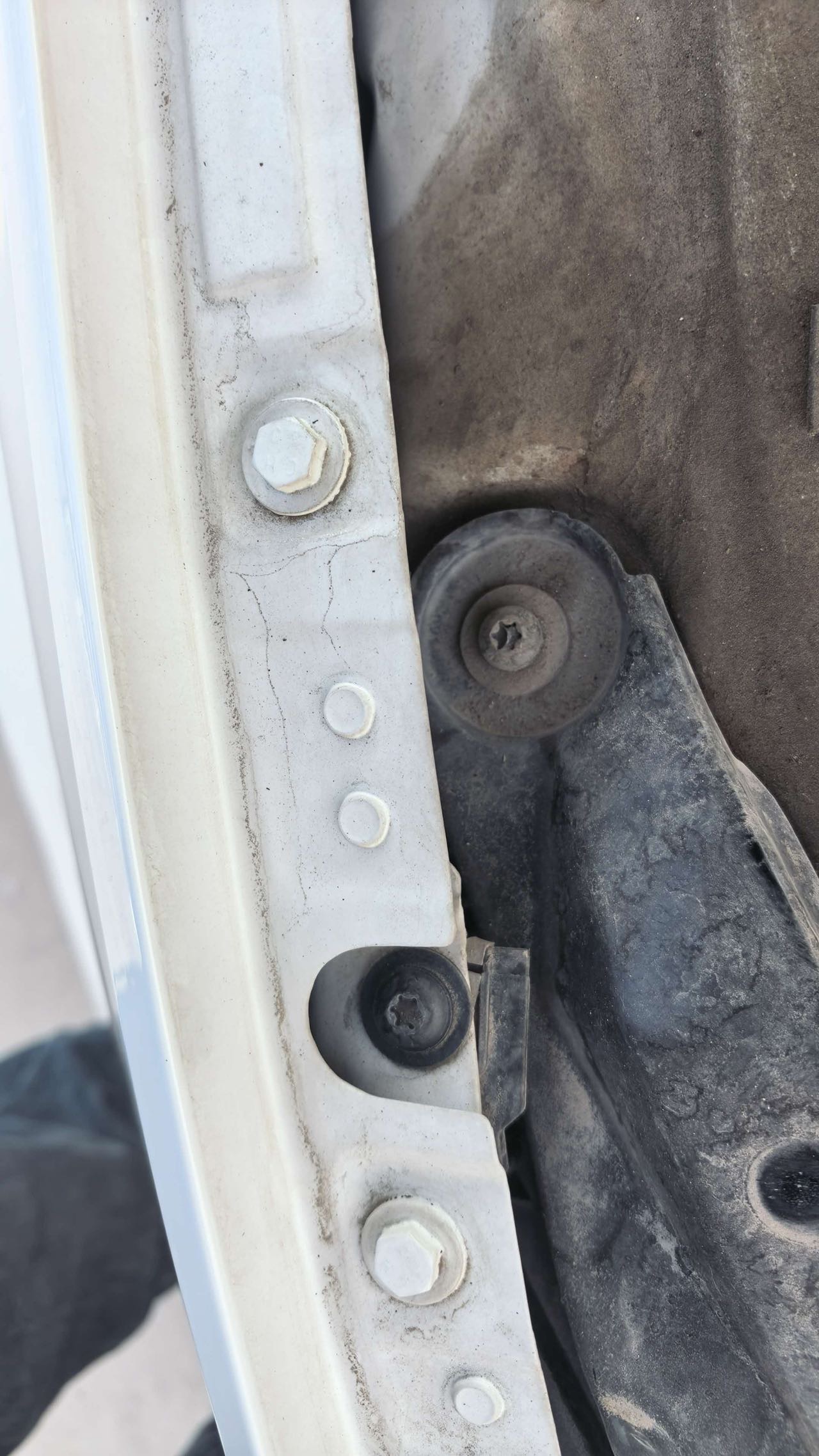 2021 #6 2021 imagen de coche #6