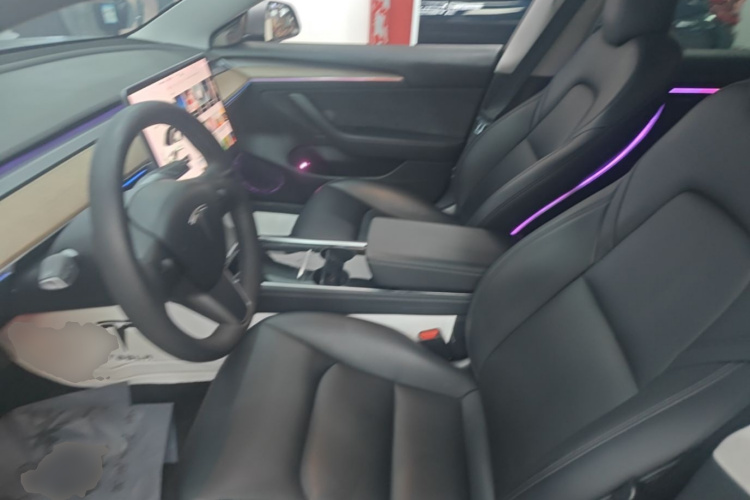 Tesla Model 3 2021 #15 Tesla Model 3 2021 car image #15