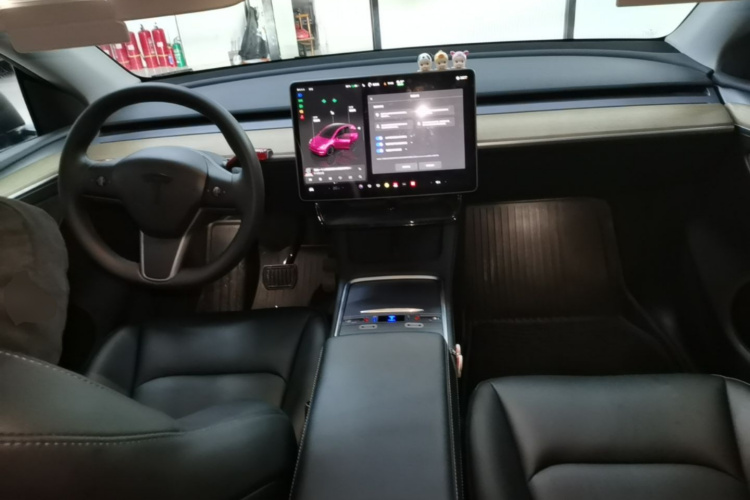 Tesla Model Y 2023 #10 Tesla Model Y 2023 car image #10