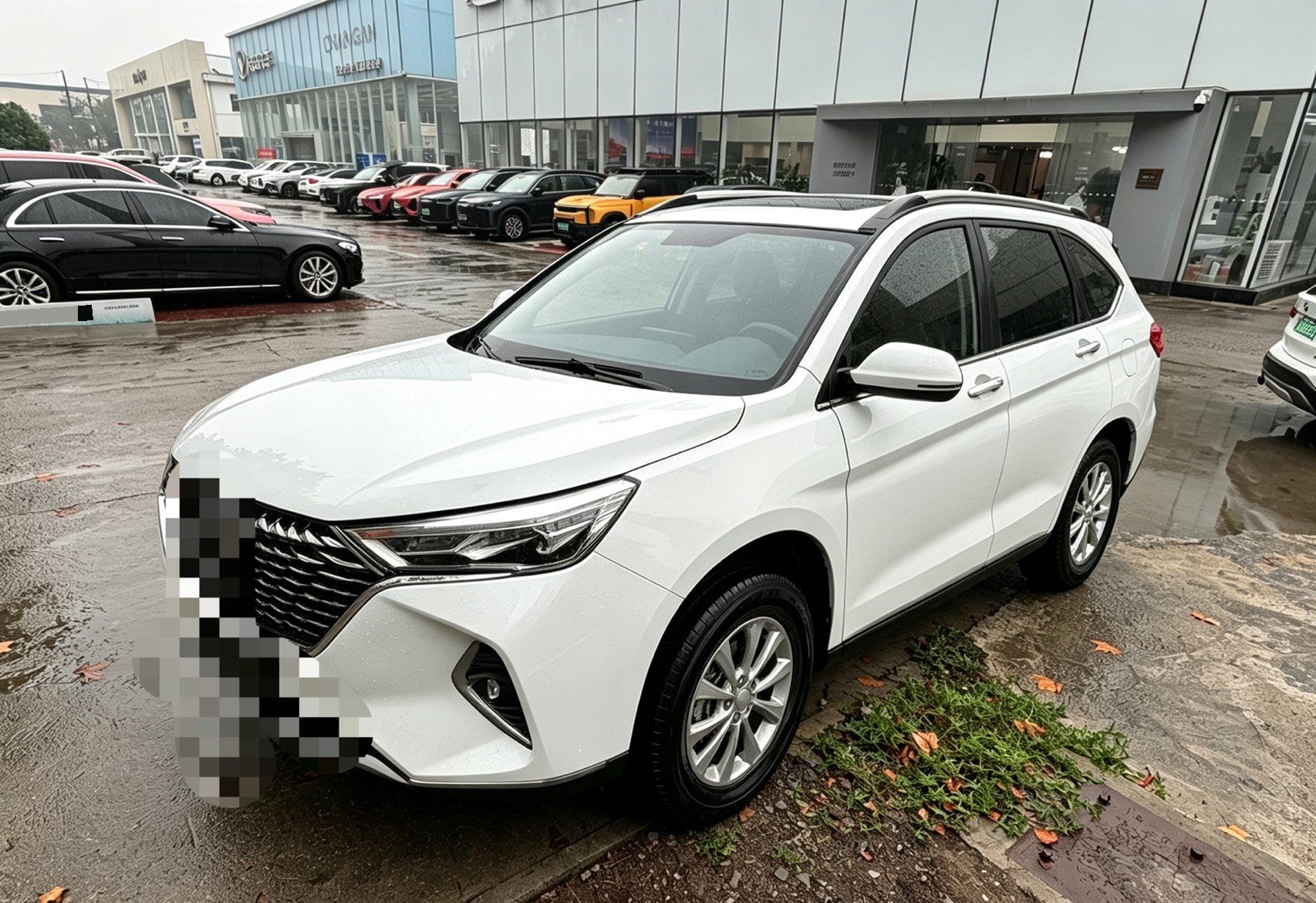 Haval M6 2024 изображение автомобиля 