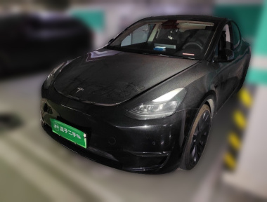 Tesla Model Y 2022 car image 