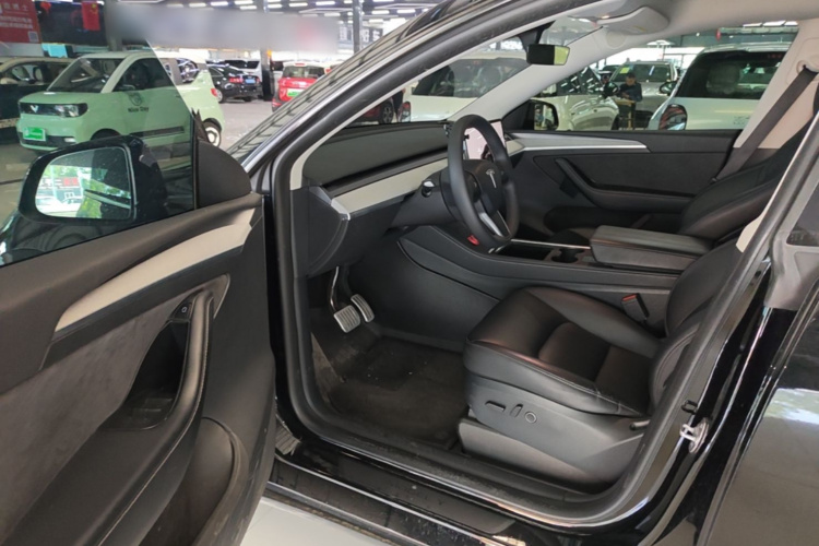 Tesla Model Y 2024 car image #16